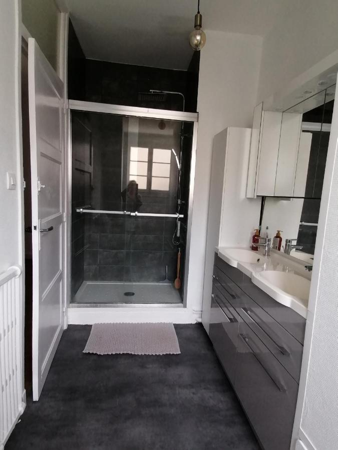 Appartement 85 m2 centre-ville entièrement rénové Le Creusot Esterno foto
