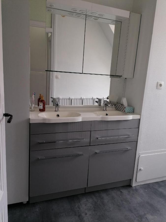 Appartement 85 m2 centre-ville entièrement rénové Le Creusot Esterno foto